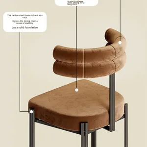 Chaises de <span class=keywords><strong>salle</strong></span> à <span class=keywords><strong>manger</strong></span> modernes de luxe en métal, vente en gros d'usine, mobilier de maison, structure en fer, revêtement en <span class=keywords><strong>tissu</strong></span>, pour salon - Product Image 5