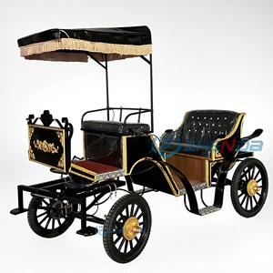 Carruaje Eléctrico Negro de Turismo con Detalles en Dorado y Toldo para Transporte de Turistas - Product Image 1