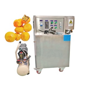 Machine électrique à éplucher et à retirer les tiges des fruits en acier inoxydable, très vendue, pour pommes, poires, kakis, <span class=keywords><strong>tomates</strong></span> congelées - Product Image 2