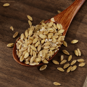 Chá de Ervas Secas de Trigo Flutuante Natural (Fructus Tritici Levis) - Fornecimento a Granel de Matéria-Prima Herbal Chinesa - Product Image 4
