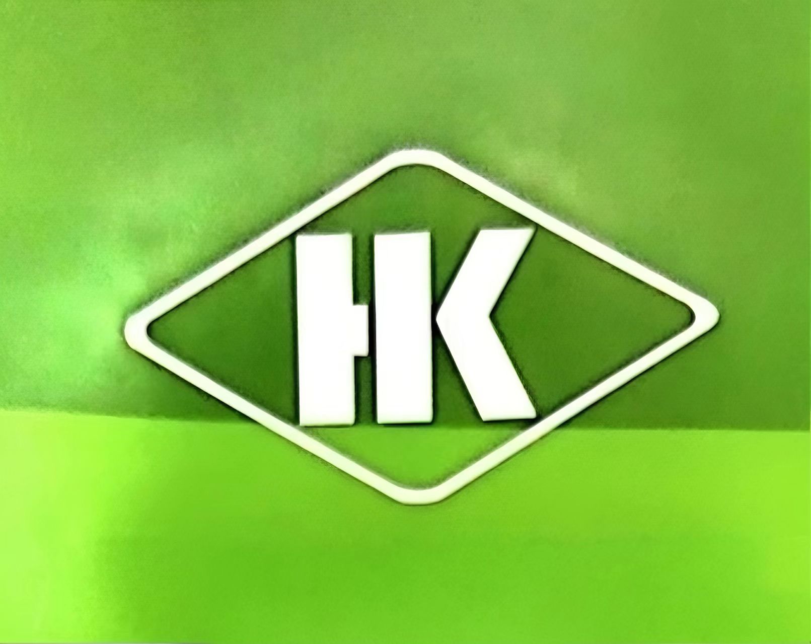 Shandong Mengzhiyuan Import And Export Co., Ltd. logo