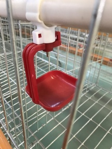 Q235 alambre de acero <span class=keywords><strong>corral</strong></span> batería capa jaula - Product Image 3