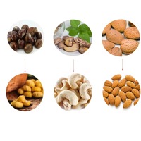 Machine à décortiquer les noix de cajou commerciale professionnelle 2025, casse-noix d'amandes
