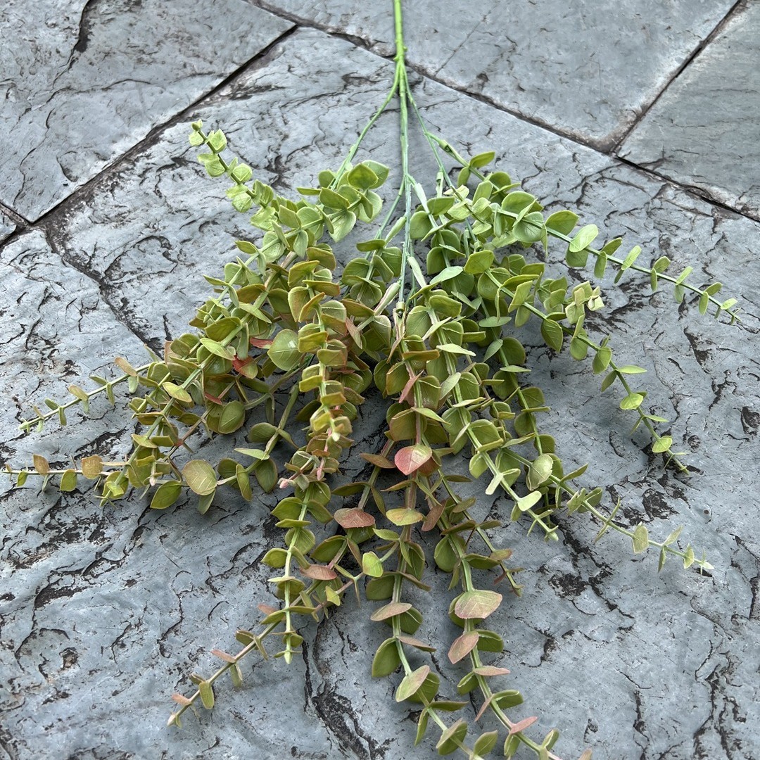 Small-leaf eucalyptus-light green