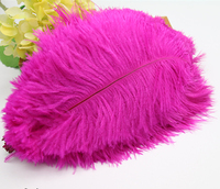 Plumes d'autruche teintées de 25-30 cm, fourniture d'usine, fournitures de décoration pour coiffes de mariage DIY, bouquets muraux