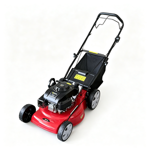 Cortador de Grama a Gasolina DOP20 de Alta Potência, 4 Tempos, Empurrado Manualmente, com Roda de Direção de Alta Produtividade, Certificado CE - Product Image 3