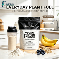 Poudre de protéines végétales purement végétalienne pour le soutien musculaire, la nutrition post-entraînement, la remise en forme, la récupération, complément alimentaire, vente en gros