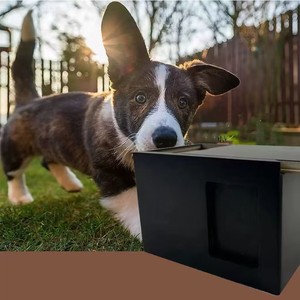 Solid Wood Pet Urn Rectangle Black With <b>Photo</b> Frame Dog Funeral <b>Box</b> Memorial <b>Storage</b> - Product Image 1