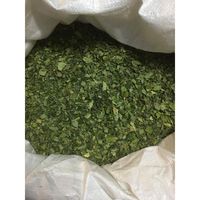 Moringa Daun Kering Moringa Asli Kualitas Asli CHOLA Makanan Super Hemat Biaya CSF/MDLN/2022-2023