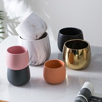 Simpele succulenten potten van keramiek voor balkons, tafeldecoraties, Scandinavische moderne vergulde kleine bloempotten