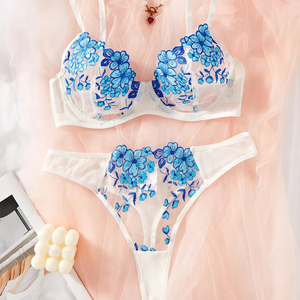 Nouvelle lingerie sexy pour femmes, très vendue, broderie florale, ensemble de lingerie deux pièces, vêtements pour femmes - Product Image 1