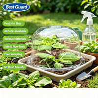Envases de Blíster Reciclables Personalizados para Bandejas de Cultivo de Microgreens, con Plástico PET Transparente de 1 mm de Grosor, Grado Alimenticio
