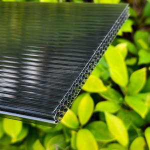 Feuille creuse en <span class=keywords><strong>polycarbonate</strong></span> PC noir, feuille d'endurance en <span class=keywords><strong>polycarbonate</strong></span> nid d'abeille transparente, feuille transmettant la lumière à effet de serre - Product Image 4