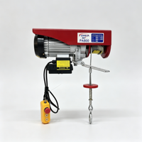Mini palan électrique 600 kg léger et facile à installer pour la maison, le garage, la réparation, la vente au détail et l'hôtellerie