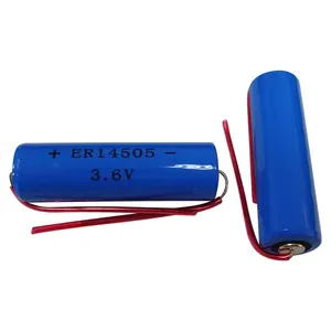 ER14505 3.6V 4800mah 1S2P锂电池组，带线和连接器