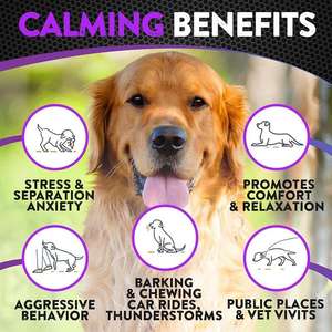 OEM ฉลากเอกชน CoQ10 Gummies การดูดซึมสูงโคเอนไซม์ <span class=keywords><strong>Q10</strong></span>สารต้านอนุมูลอิสระธรรมชาติอาหารเสริมสำหรับการสนับสนุนสุขภาพหัวใจ - Product Image 6