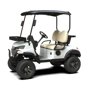 Keranjang Buggy Golf berburu elektrik kustom 2 kursi, dengan layar sentuh cerdas dilengkapi port pengisian daya tipe-c & usb
