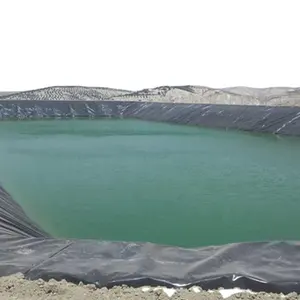 Siyah plastik dokuma su geçirmez Tank HDPE astar, balık gölet Liner geomembran için PE geomembran