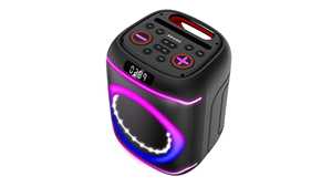 2024 máquina de karaoke de gran venta con estructura de madera, 2 micrófonos inalámbricos y ajuste de graves/agudos/ECO/alto, 6 modos de sonido - Product Image 2