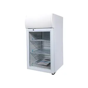 ยอดนิยม 55L Snack Bar ตู้เย็นจอแสดงผลคอนเตอร์ตู้เย็นขนาดเล็กผู้ผลิตตู้เย็นเครื่องดื่มพร้อมไฟ