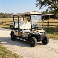 Voiturette de golf électrique 5 kW haute puissance, surélevée, avec couleur de carrosserie personnalisable et rangement supplémentaire multifonctionnel