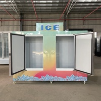 Congélateur commercial Mr Frio à 2 portes avec compresseur Danfoss, impression de logo personnalisée, pour la vente de glace en sacs, boîte de stockage extérieure pour sacs de glace