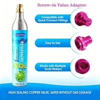 Bouteille de gaz CO2 certifiée CE 425g 0,6L pour la carbonatation de boissons à domicile