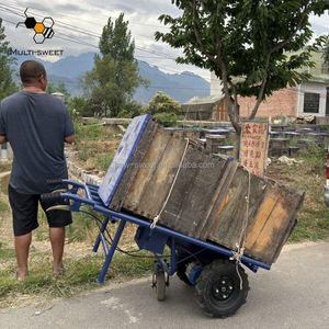 Equipo de movimiento de colmena de apicultura, remolque de carro de transporte de colmena de abeja eléctrica para vehículo de transporte de coche - Product Image 1