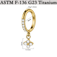 Anneaux clicker segmentés pour cartilage d'oreille en titane G23 électroplaqué avec zircon, pour femme, par Getta