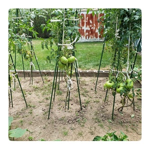 Piquets de soutien pour plantes de 30 pouces, piquets de jardin en acier - Product Image 4