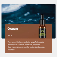 Désodorisant de voiture liquide non enflammé longue durée Lot de recharges d'huile de parfum ménager écologique pour voiture