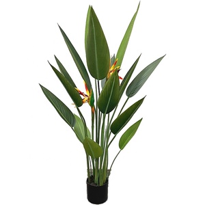 Ndoor-Oración de 180cm, - Product Image 2
