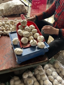 Tươi Tỏi Trắng Nhà Máy Bán Buôn 10Kg/20Kg Túi Lưới/Carton Trung Quốc Tỏi Nhà Cung Cấp Và Tươi Bóc Vỏ Tỏi Bán Buôn Xuất Khẩu - Product Image 2