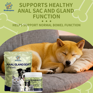 Supplementi per ghiandole anali, semi di lino, mastica morbida prebiotica, supporta la salute delle ghiandole e le feci, alla rinfusa e Private Label - Product Image 3