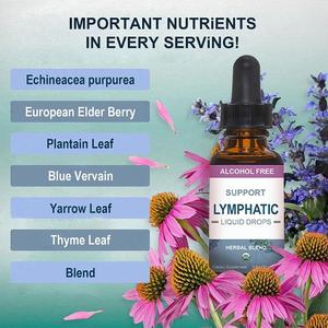 Soutien lymphatique en gouttes liquides sans <span class=keywords><strong>alcool</strong></span>, mélange biologique d'échinacée et <span class=keywords><strong>de</strong></span> <span class=keywords><strong>sureau</strong></span>, soutient la fonction lymphatique et immunitaire, 30 ml - Product Image 4