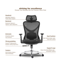 Chaise de bureau exécutive ergonomique moderne en maille, hauteur réglable, base en acier avec verrouillage d'inclinaison, accoudoirs réglables pour usage scolaire - Vente en gros