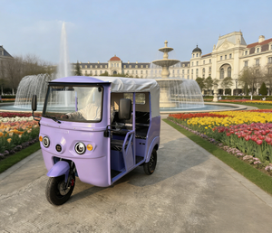 Vente directe d'usine chinoise, <span class=keywords><strong>meilleur</strong></span> prix, tricycle électrique, E-Trike, deux rangées - Product Image 3