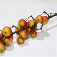 Buah Apel Palsu Kecil 135cm, Oranye Merah, Buah Buatan Berkelompok, Dekorasi Vas Musim Gugur, Buatan Cina (Grosir)