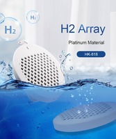 Générateur d'hydrogène, appareil SPA à hydrogène pour massage corporel et fonction de désintoxication, machine de bain de pieds et de corps ionique détoxifiante