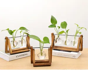 Stazione di propagazione delle piante delle piante acquatiche della decorazione dell'ufficio domestico di larghezza di 11 pollici con il supporto di legno - Product Image 1