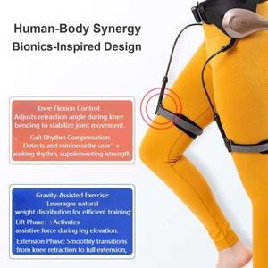 Idosos Assistidos Curso Membros Inferiores Equipamento De Treinamento De Reabilitação Com Exoesquelético Walker Leg Exercício Articulações Fixação Brace - Product Image 3