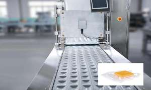 Mesin segel produk makanan segel mesin manufaktur kemasan vakum penyegel Pak vakum isi keju kemasan dan kemasan - Product Image 4