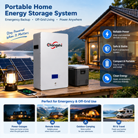 Batterie de stockage d'énergie domestique murale Qiangshi Smart APP Monitoring 51.2V LiFePO4, batterie de secours solaire Powerwall