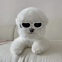 Vente en gros de produits pour animaux de compagnie lunettes de soleil pour chiens chats vêtements accessoires créateur de mode luxe perle lunettes de soleil pour animaux de compagnie