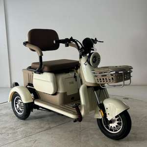 Triciclo eléctrico de ocio de tres ruedas de 800W, gran oferta 2023, triciclo de acero con alto contenido de carbono de 600W, bicicleta eléctrica de tres ruedas - Product Image 3