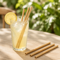 Pailles en bambou naturel lisses, sans éclats, de qualité alimentaire, réutilisables, écologiques, pour jus et bubble tea, vente en gros, personnalisables