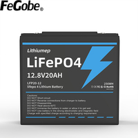 Baterai LiFePO4 12V 20Ah untuk Sepeda Motor/Sepeda Listrik/E-Bike - Stok Tersedia