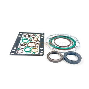 Kit de réparation d'étanchéité Tosion S51 51V060 51V080 51V110 51V160 51V250 avec huile - Product Image 1