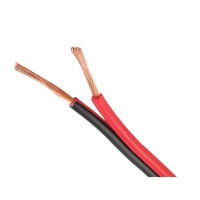 Câble Audio optique 10 calibre rouge positif noir négatif câble de haut-parleur fil