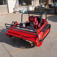 Mesin Pemotong Rumput Remote Control Crawler Bersertifikasi CE EPA untuk Lahan Perkebunan Karet dan Lereng